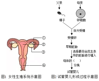宝宝发烧